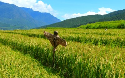 Photo Story : These Captivating Pictures Will Make You Want To Explore Bhutan Immediately