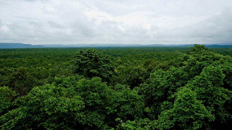 Why Bastar In Chhattisgarh Should Be On Every Traveller’s Bucket List