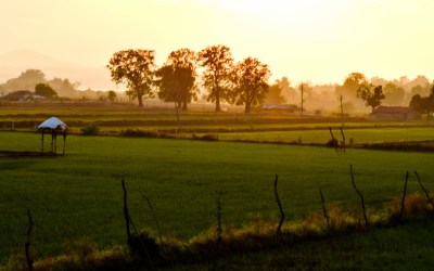 Madhya Pradesh Travel Mart 2016: Let’s Explore The Heart of India