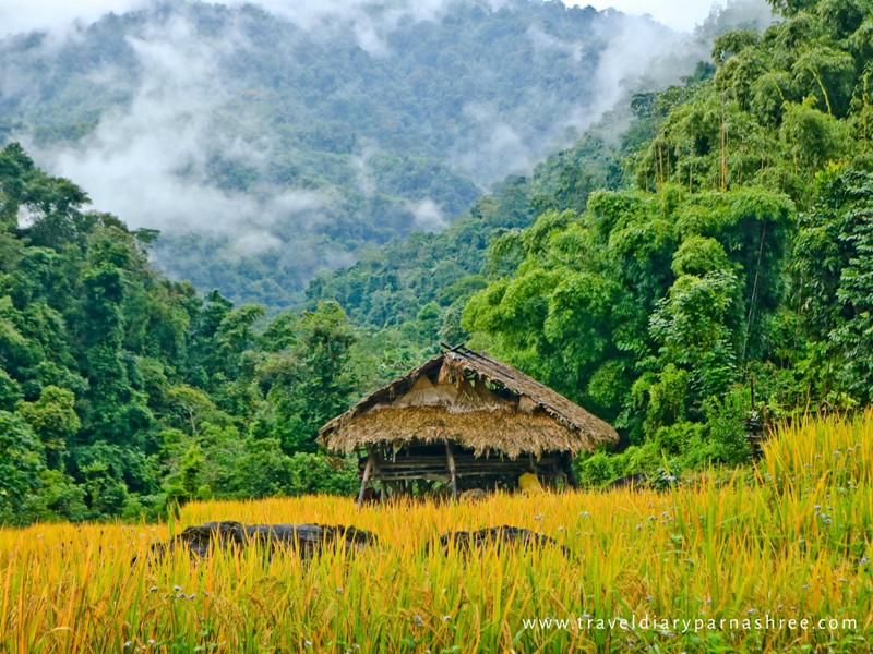 A lonely hut in the paddy field in Basar, Arunachal Pradesh