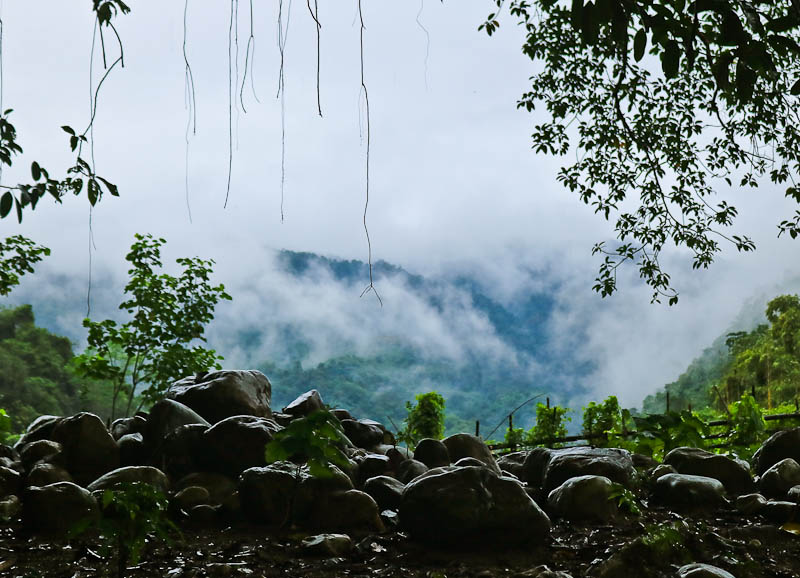A Rainy day in Basar, Arunachal Pradesh