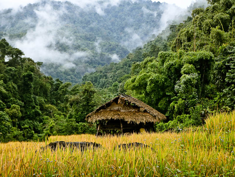 Picturesque village in Basar, Arunachal Pradesh