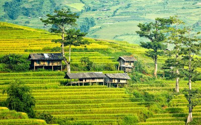 Planning To Travel to Bali ? Check Out Things You Can Do in Bali