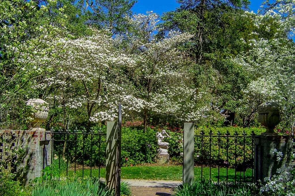 One of the beautiful Secret Gardens of Charleston