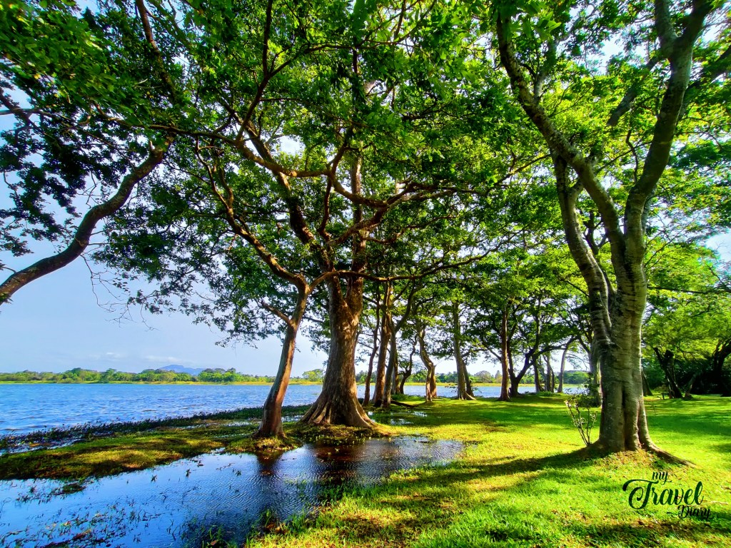 The captivating lakeside in Habarana
