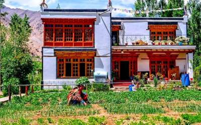 Why I Chose Himalayan Farmstays in Phyang Village in Ladakh: Find Out