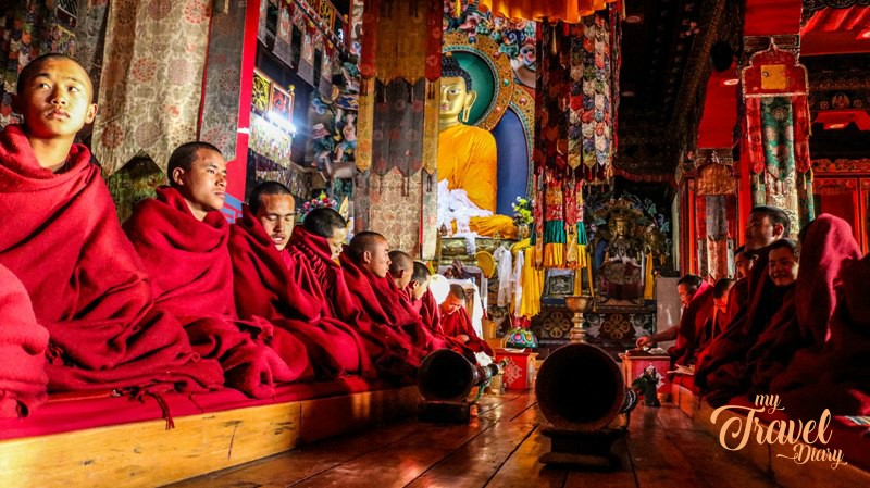 20 Reasons Why You Should Travel to Northeast India with Holiday Scout