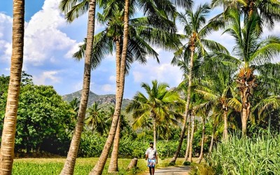 Padavedu in Tamil Nadu: The Finest Example of A Progressive Village