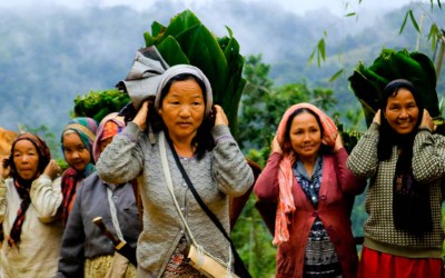 Why Basar in Arunachal Pradesh Should Be On Your Bucket List?