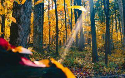 7 Fun Outdoor Activities to Do in the Great Smoky Mountains