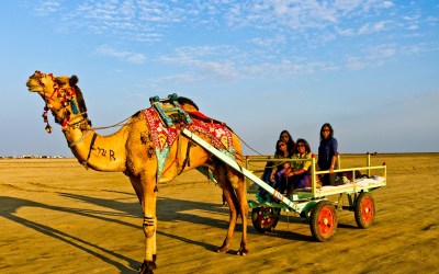 Rann Utsav in Gujarat: An Experience Of A Lifetime