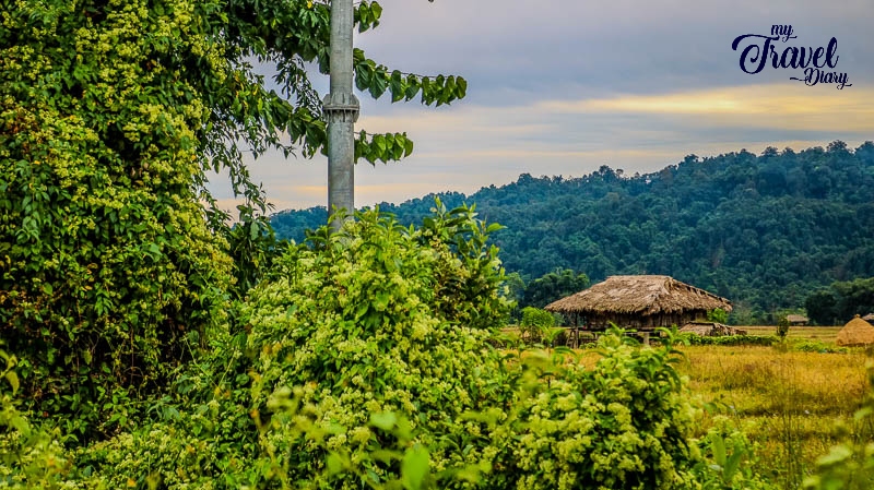 The rustic feel of Ledum Village in Arunachal Pradesh
