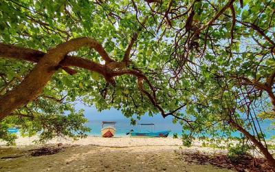 Why Pigeon Island in Sri Lanka should be on your bucket List?