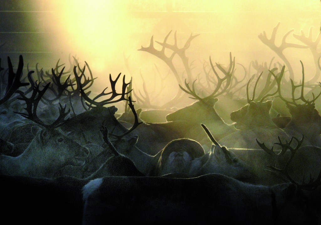 Share Your Smile With The Sami: The Indigenous People of Europe