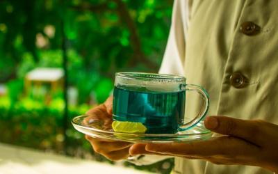 NAAD WELLNESS: HOME TO HOLISTIC WELLBEING NEAR NEW DELHI