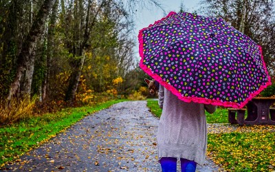 Chasing India’s Monsoon? 10 Exciting Monsoon Destinations for you